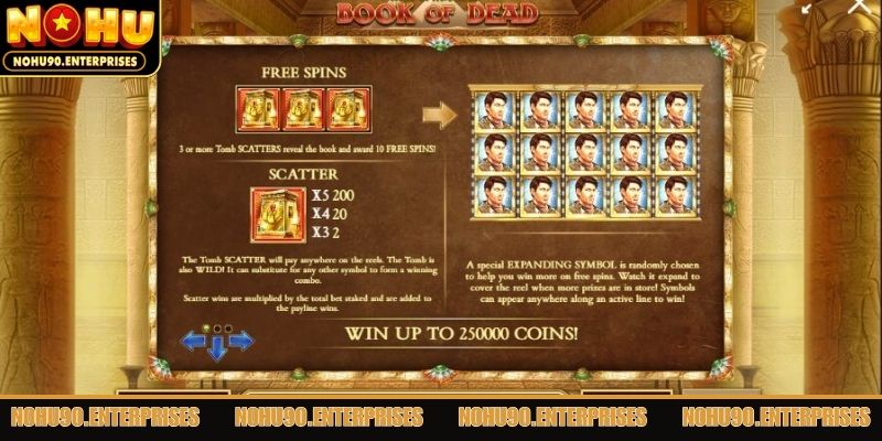 Chiến lược và mẹo chơi nổ hũ Book of Dead hiệu quả